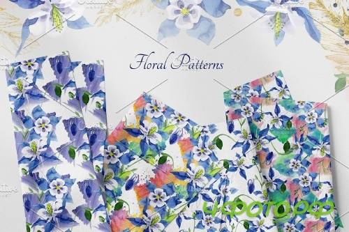 Watercolor flower Aquilegia blue - 4119295