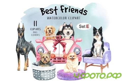 Dog clip art, Watercolor painting dog and toy set E - 352457