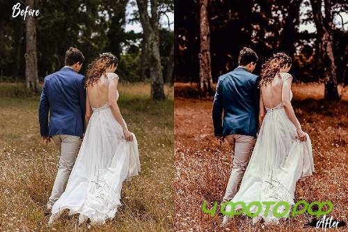 5 Fall Mobile Lightroom Presets - 354594