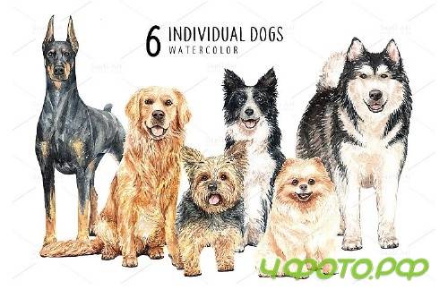 Dog clip art, Watercolor painting dog and toy set E - 352457