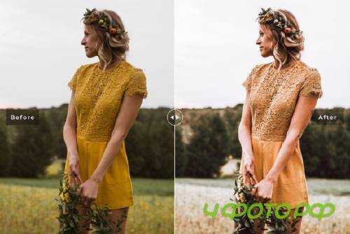 Soft Bright Lightroom Presets Pack