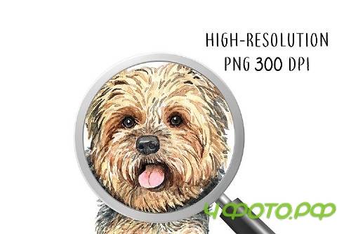 Dog clip art, Watercolor painting dog and toy set E - 352457