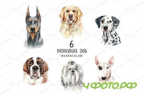 Dog watercolor clipart, Pet clip arts, Dog Set D - 349839