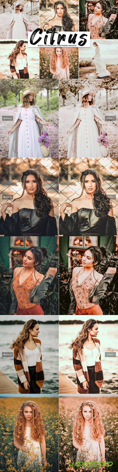 Citrus Pro Lightroom Presets - 4126786