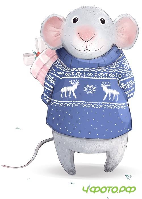 Mouse Pitte New Year 2020 Mouse Pitte New Year 2020