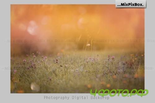 Warm Days Backdrop 4112376 Warm Days Backdrop 4112376