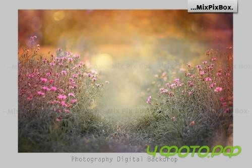 Warm Days Backdrop 4112376 Warm Days Backdrop 4112376