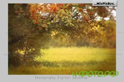 Warm Days Backdrop 4112376 Warm Days Backdrop 4112376