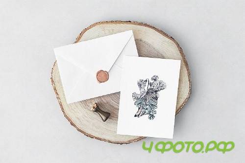 Collection of vector hummingbirds Vol.2 - 323382