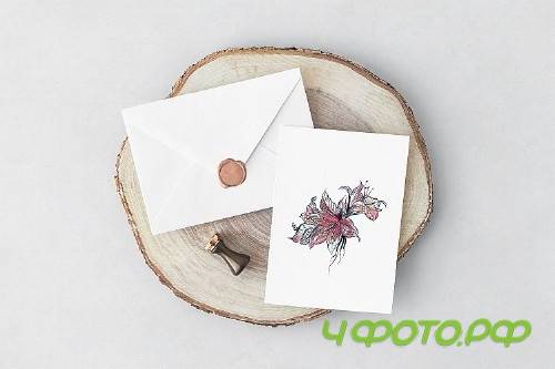Collection of vector hummingbirds - 323370