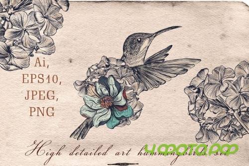 Collection of vector hummingbirds - 323370