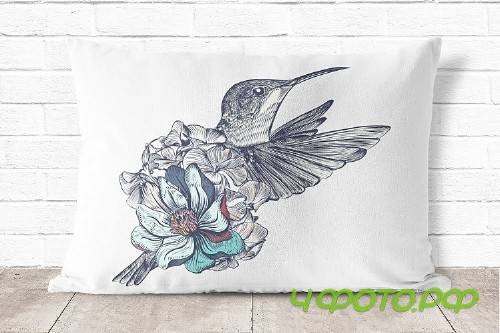 Collection of vector hummingbirds - 323370