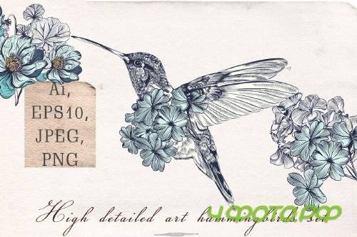 Collection of vector hummingbirds Vol.2 - 323382