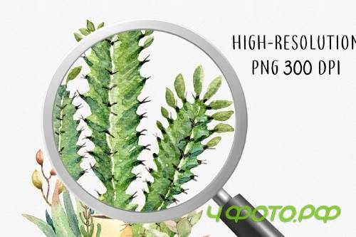 Cacti Watercolor Succulent Clipart - 3654502