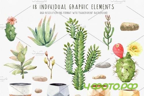 Cacti Watercolor Succulent Clipart - 3654502