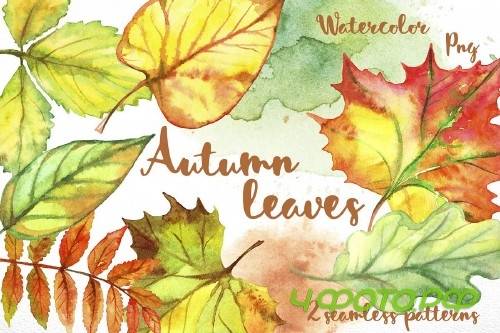 Autumn leave. Watercolor - 364586