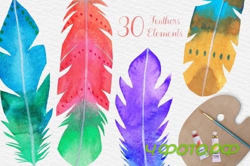 Watercolor Feather Clipart - 4183917