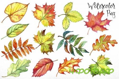 Autumn leave. Watercolor - 364586