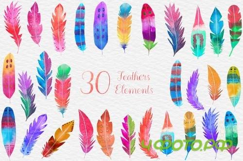 Watercolor Feather Clipart - 4183917