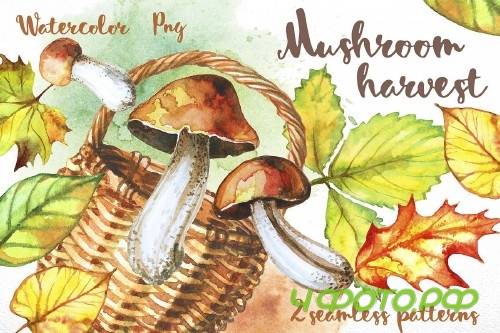 Mushroom harvest. Watercolor - 364618