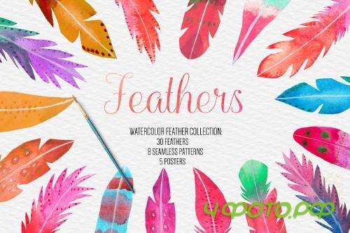 Watercolor Feather Clipart - 4183917