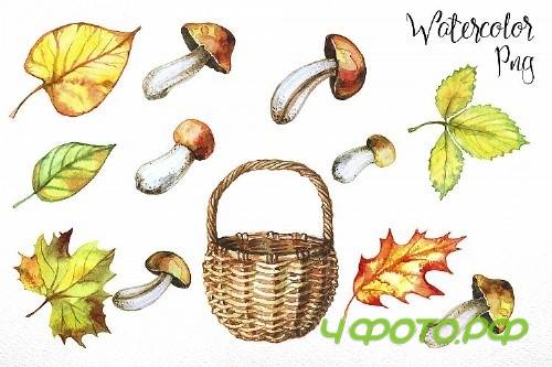 Mushroom harvest. Watercolor - 364618