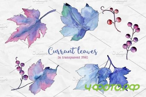 Blue currant leaf illustration png - 4194432