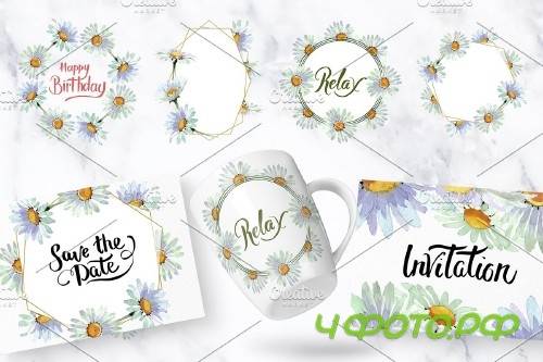 White chamomile flowers watercolor - 4194283
