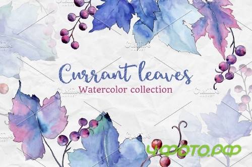 Blue currant leaf illustration png - 4194432