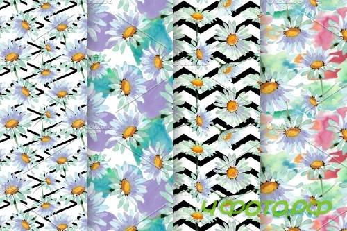White chamomile flowers watercolor - 4194283