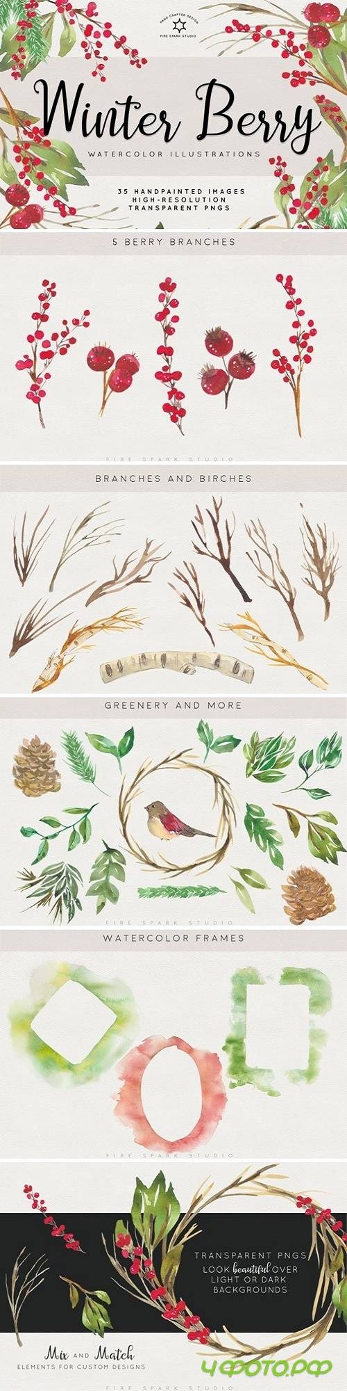 Winter Berry Watercolor Illustration 2993975