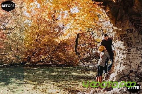 Pumpkin Photoshop Actions And ACR Presets, Fall preset - 370043