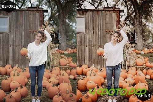 Pumpkin Photoshop Actions And ACR Presets, Fall preset - 370043