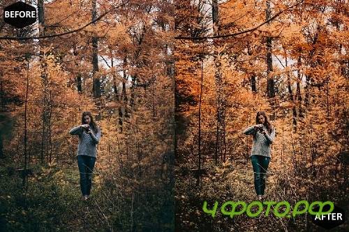 Pumpkin Photoshop Actions And ACR Presets, Fall preset - 370043