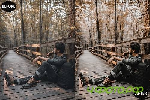 Pumpkin Photoshop Actions And ACR Presets, Fall preset - 370043