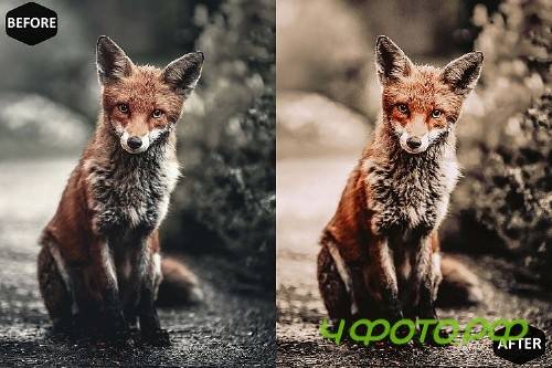 Pumpkin Photoshop Actions And ACR Presets, Fall preset - 370043
