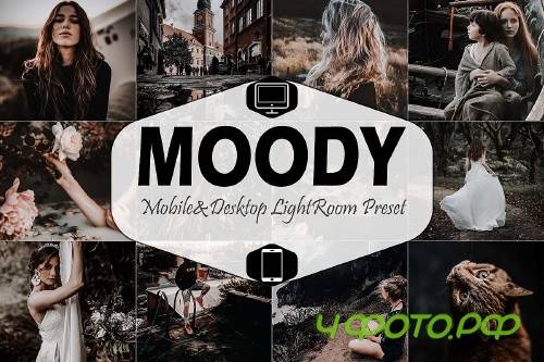 Moody Mobile & Desktop Lightroom Presets, instagram modern - 370040