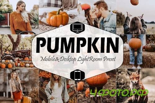 Pumpkin Mobile & Desktop Lightroom Presets - 356852