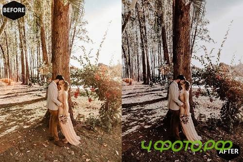 Moody Mobile & Desktop Lightroom Presets, instagram modern - 370040