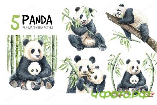 Panda. Watercolor animal clipart - 3867027