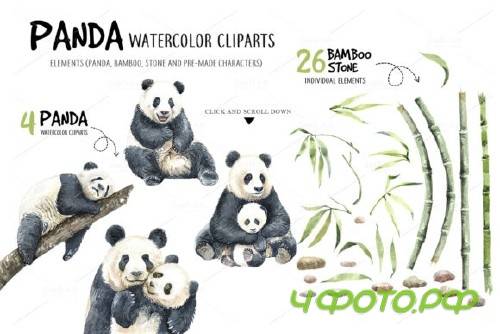 Panda. Watercolor animal clipart - 3867027