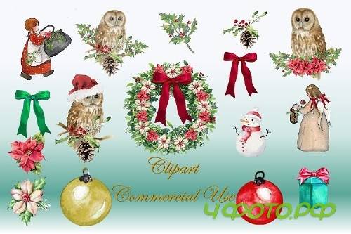 Watercolour Christmas Owls Clipart, Backgrounds & Craft Kit - 372123