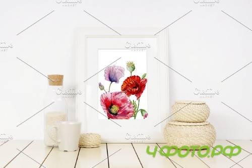 Poppy red flower watercolor png - 4267189