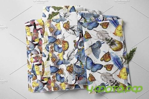 Miracle of nature butterflies - 4246030