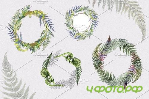 Green fern leaves watercolor png - 4254347