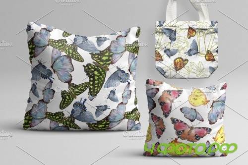 Miracle of nature butterflies - 4246030