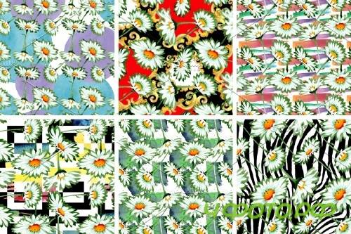 Watercolor daisy white flower png - 4214174
