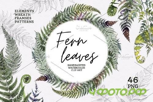 Green fern leaves watercolor png - 4254347