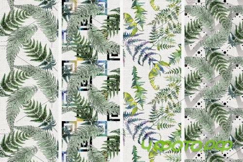 Green fern leaves watercolor png - 4254347