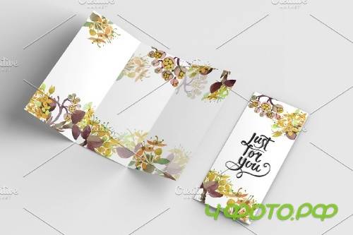 Flower illustration Dogwood - 4267090